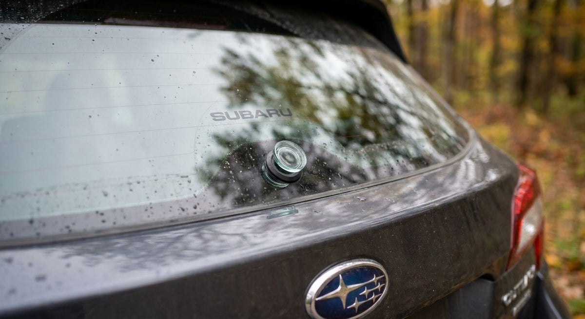 Heckwischer entfernen: Glasstopfen für Subaru